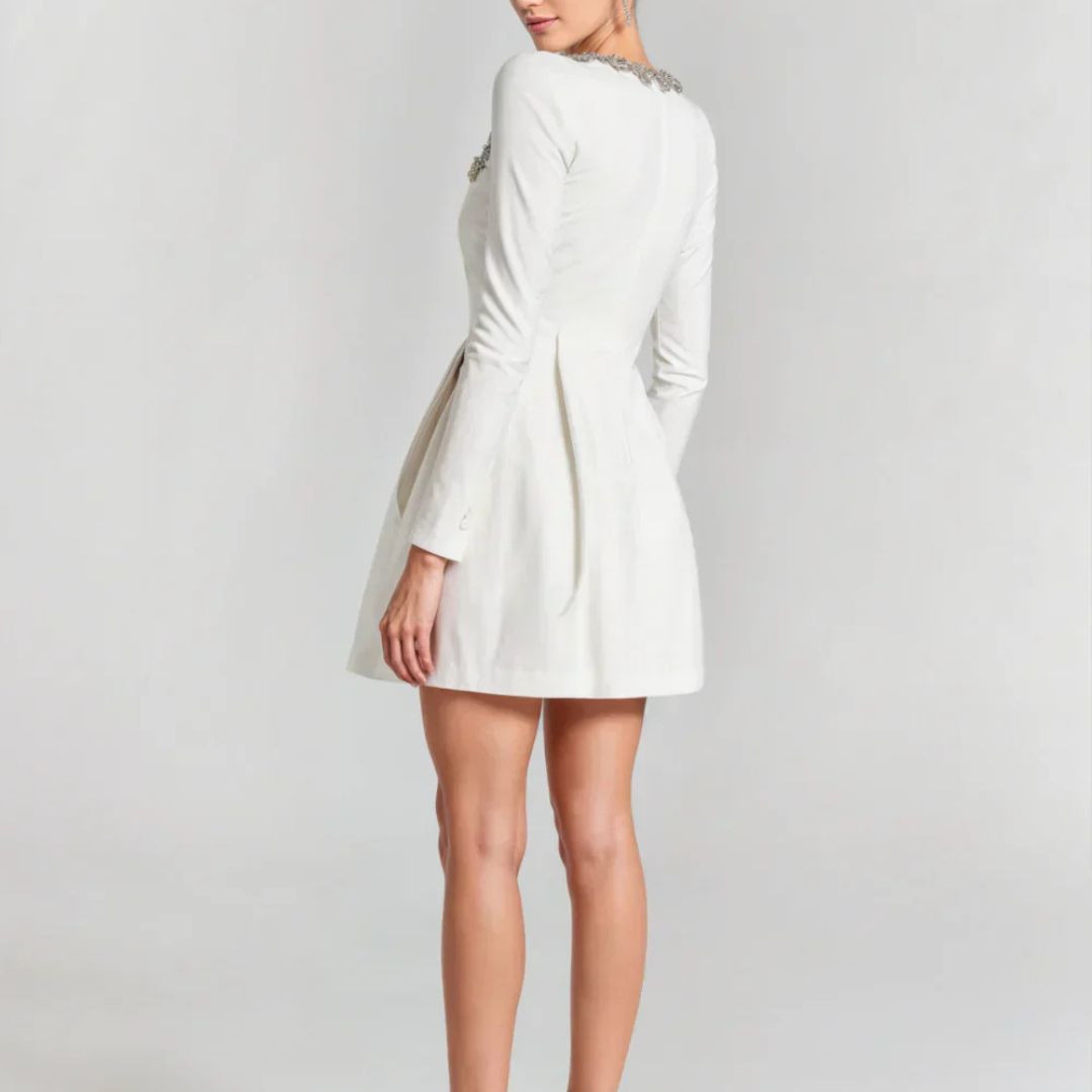 Willow | Velvet Mini Dress